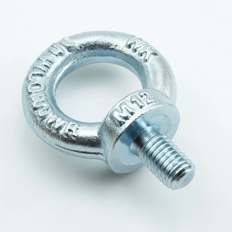 Skrutka s okom podľa DIN 580, pozinkovaný, metrický štandardný závit, materiál C15E